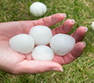 Roofing contractor specializing in hail damage